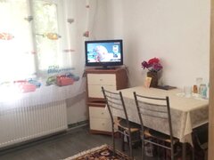 Vitan, Fizicienilor, str. Lacramioarei, renovata, ac, tv, centrala